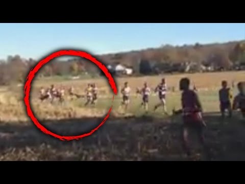 Glance Gorgeous 2nd College Runner Gets Hit By Deer Throughout Escape