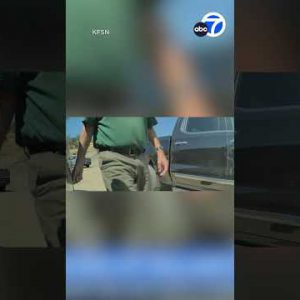 Tesla’s digicam captures man vandalizing automobile in California