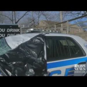 Caught on Tape: Tree falls on cop car