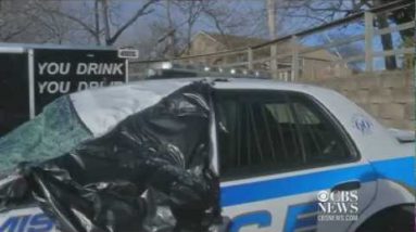 Caught on Tape: Tree falls on cop car