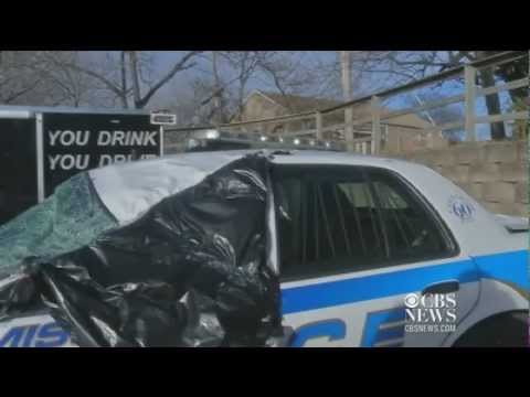 Caught on Tape: Tree falls on cop car