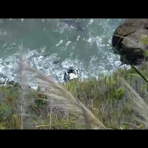 Lady survives 7 days at bottom of cliff after rupture