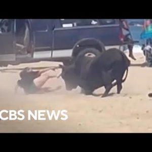 Girl attacked by bull on Mexico beach after ignoring warnings