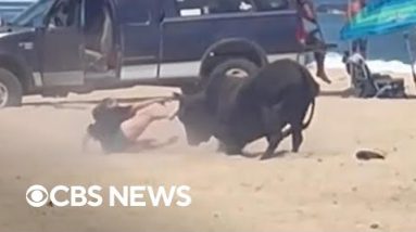 Girl attacked by bull on Mexico beach after ignoring warnings