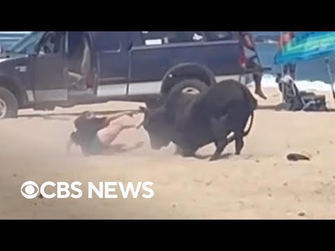 Girl attacked by bull on Mexico beach after ignoring warnings