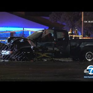 Teen driver hits, kills 2 males and canine in Riverside