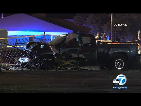 Teen driver hits, kills 2 males and canine in Riverside