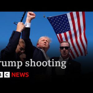 Trump capturing: the safety failures that allow gunman mount assassination are attempting | BBC Data