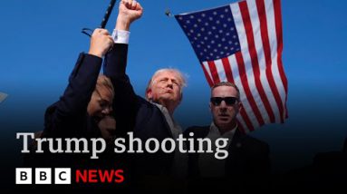 Trump capturing: the safety failures that allow gunman mount assassination are attempting | BBC Data