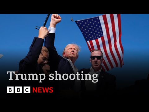 Trump capturing: the safety failures that allow gunman mount assassination are attempting | BBC Data