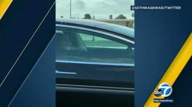 Tesla driver interestingly asleep while on LA freeway | ABC7