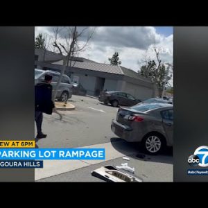 Carjacking rampage: Lady steals automobile, smashes into parked autos in Agoura Hills