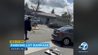 Carjacking rampage: Lady steals automobile, smashes into parked autos in Agoura Hills