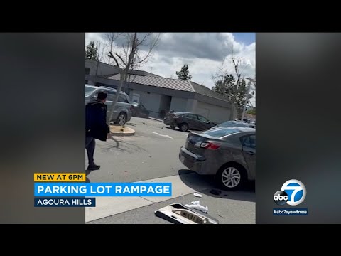 Carjacking rampage: Lady steals automobile, smashes into parked autos in Agoura Hills