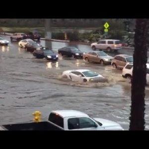 Peek This $200,000 Lamborghini Force Thru Flood Waters Esteem a Boss