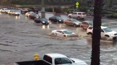 Peek This $200,000 Lamborghini Force Thru Flood Waters Esteem a Boss