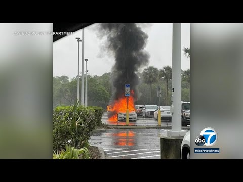 FL mother leaves younger of us in automobile to shoplift, automobile then catches hearth