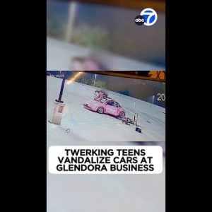 Twerking youngsters vandalize 18 vehicles at Glendora cleaning industry