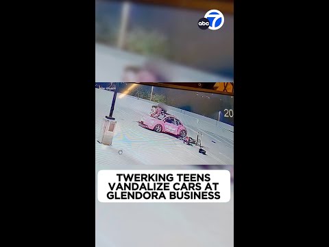 Twerking youngsters vandalize 18 vehicles at Glendora cleaning industry