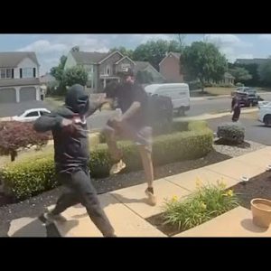 Dueling porch pirates fight to exhaust kit originate air home