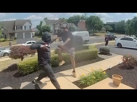 Dueling porch pirates fight to exhaust kit originate air home